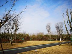 -白鹭湾湿地公园