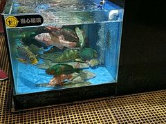 -吉莲利苑海鲜酒家(珠海拱北28年老字号店)