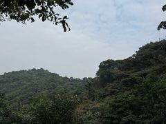 -广州市帽峰山景区