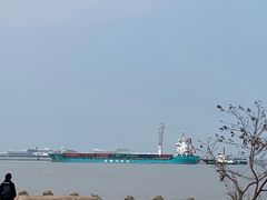 -上海滨江森林公园