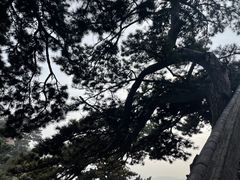 -妙峰山风景名胜区