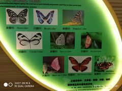 -蝴蝶泉公园