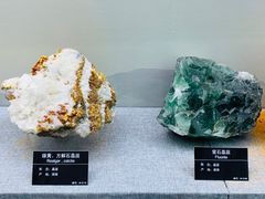 -甘肃地质博物馆