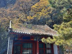 -北京鹫峰国家森林公园