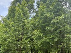 -贵阳市花溪国家城市湿地公园