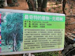 -石家庄市植物园