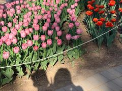 -沈阳植物园