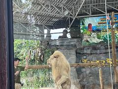 -清迈夜间动物园