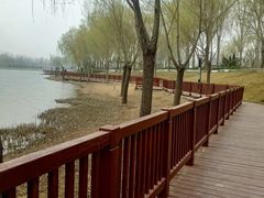 -呷哺呷哺 黄金牧场 (枣强吉美购物广场店)