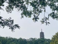 -焦山风景区