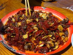 -柴窝堡22号辣子鸡·传承新疆菜