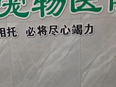 -半岛宠物医院24小时(白果林店)