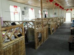-大鹅岛灶台鱼·铁锅炖(水库路店)