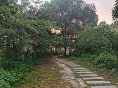 -兴城海滨风景区