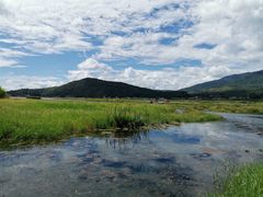 -腾冲北海湿地