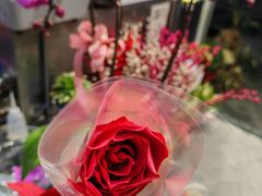-FEI FEI FLOWER鲜花店·气球派对·宝宝宴布置(虹口德必运动Loft店)