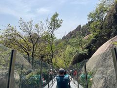 -嵖岈山风景区