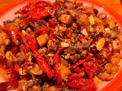 -柴窝堡22号辣子鸡·传承新疆菜