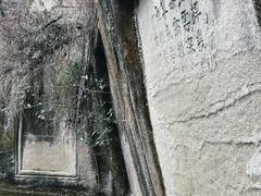 -荣县大佛