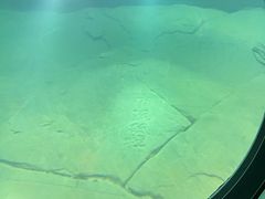 -白鹤梁水下博物馆
