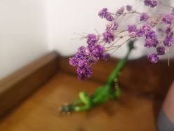 -瑜舍瑜伽连锁教室