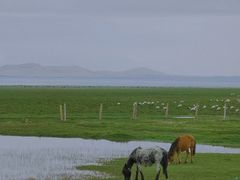 -青海湖国家重点风景名胜区