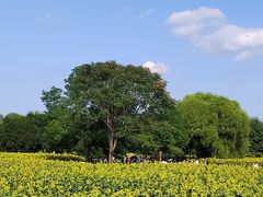 -北京奥林匹克公园