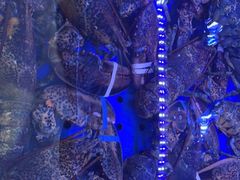 -日照大牌檔•小船海鲜(万平口店)