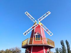 -金塔沙漠胡杨林景区