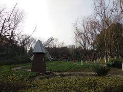 -圩墩遗址公园