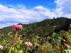 -枸杞岛
