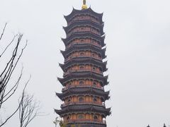 -葛仙湖公园