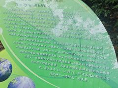-西双版纳原始森林公园
