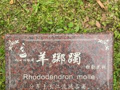 -杭州植物园