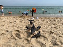 -海云台海滩