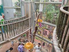 -正佳雨林生态植物园