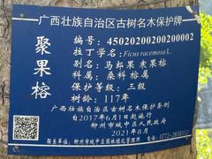 -柳侯公园