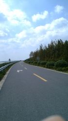 -水八仙生态园