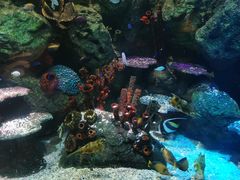 -沈阳海洋探索中心