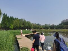 -前关湿地公园