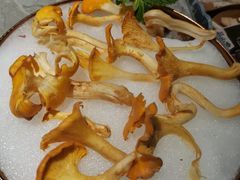 -芸山季·云南野生菌火锅(南翔印象城MEGA店)