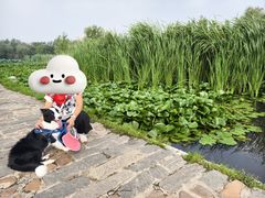 -前关湿地公园