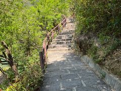 -广州白江湖森林公园