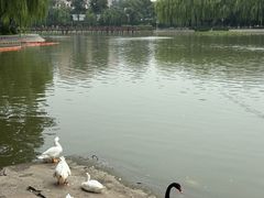 -中国农业博物馆