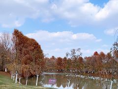 -上海海湾国家森林公园