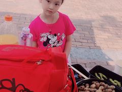 -吴淞炮台湾湿地森林公园烧烤区