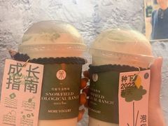 -茉酸奶(春熙路店)
