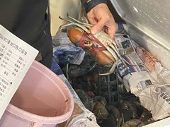 -瑞丽活螃蟹(芒市店)
