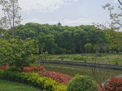 -上海佘山国家森林公园天马山园