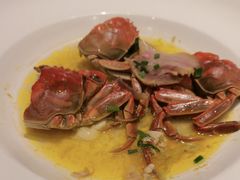 -新天明砂锅鱼头煲